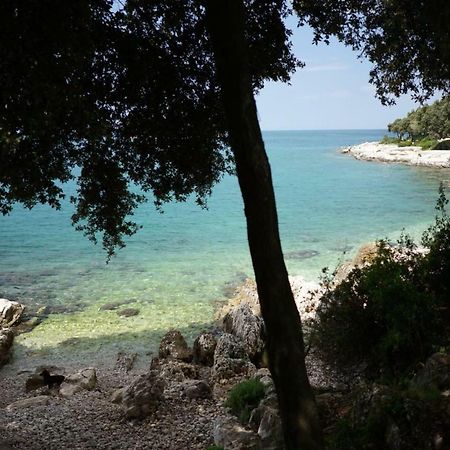 Guesthouse Galeb Vrsar Exteriör bild