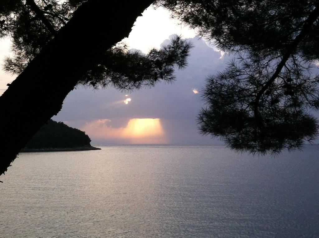 Guesthouse Galeb Vrsar Exteriör bild