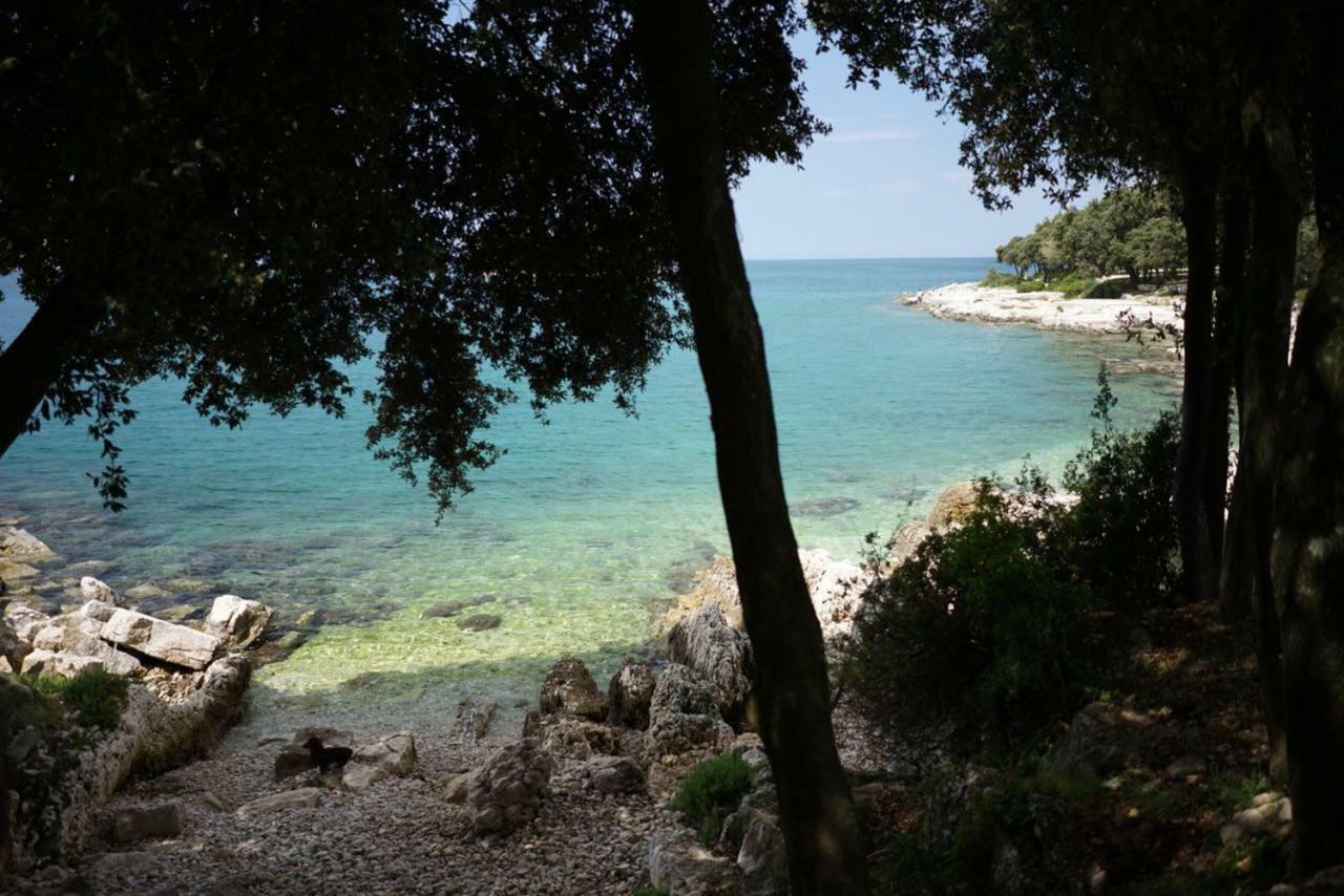 Guesthouse Galeb Vrsar Exteriör bild